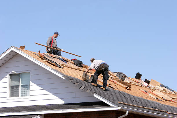 Best Gutter Installation and Repair  in Clisle, AR